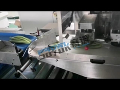 دستگاه بسته بندی سبزیجات و میوه های 3KW با برچسب گذاری آنلاین افقی