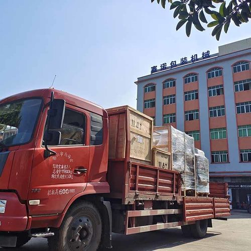 آخرین اخبار شرکت درباره بررسی پذیرش و ارسال دستگاه بسته بندی کیف دستی داخلی دستکش جراحی